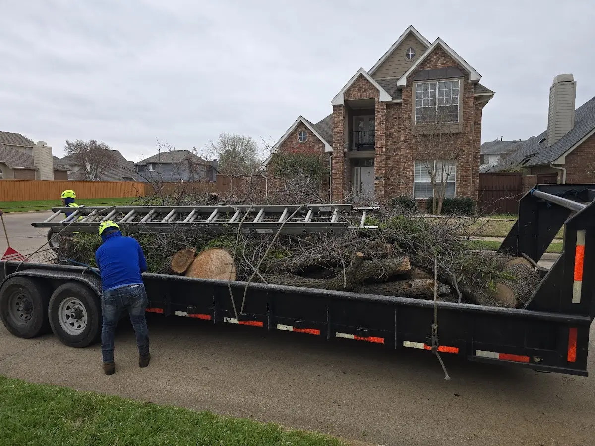 Expert Deadwooding with proper safety equipment in South Bend